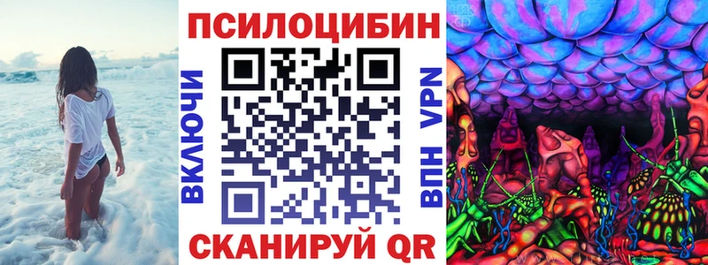 Купить Дорогобуж Галлюциногенные грибы MAGIC MUSHROOMS